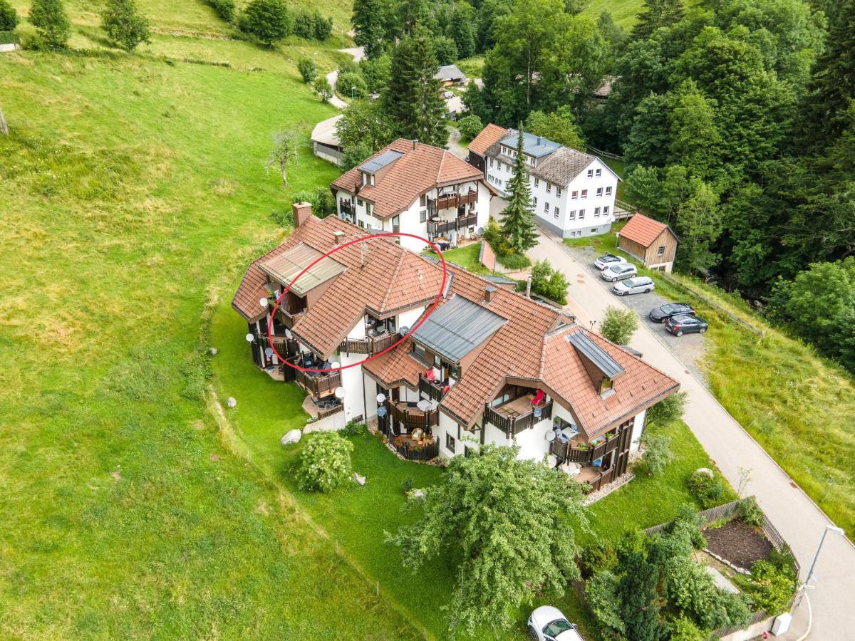 Winter-Nest Apartment Todtnau Exterior foto